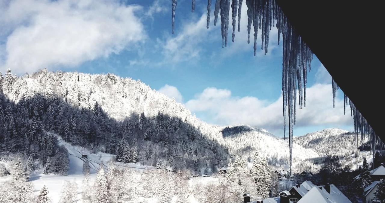 Hotel Grossbach Menzenschwand-Hinterdorf Exteriör bild