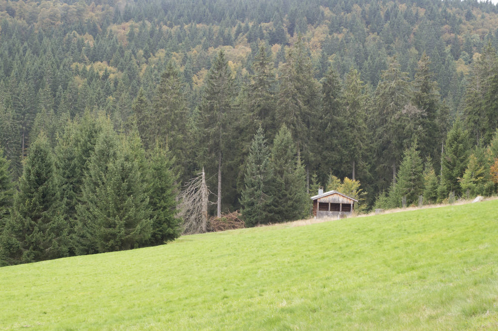 Hotel Grossbach Menzenschwand-Hinterdorf Exteriör bild